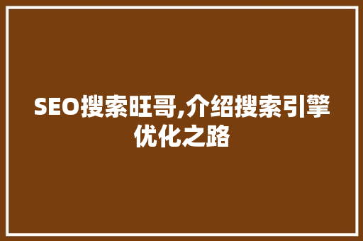 SEO搜索旺哥,介绍搜索引擎优化之路