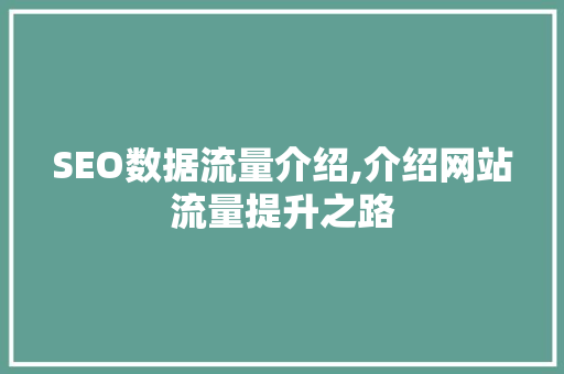 SEO数据流量介绍,介绍网站流量提升之路