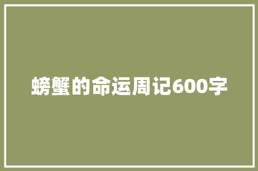 App代码下载背后的技术奥秘与安全考量