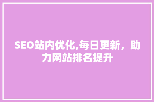 SEO站内优化,每日更新，助力网站排名提升