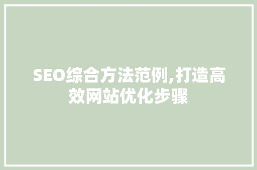 SEO综合方法范例,打造高效网站优化步骤