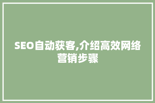 SEO自动获客,介绍高效网络营销步骤