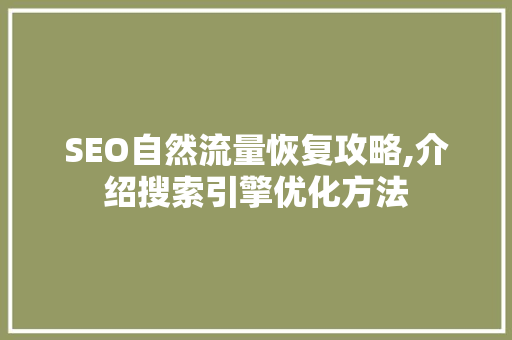 SEO自然流量恢复攻略,介绍搜索引擎优化方法