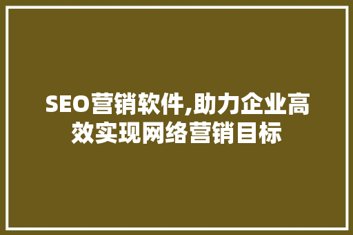 SEO营销软件,助力企业高效实现网络营销目标