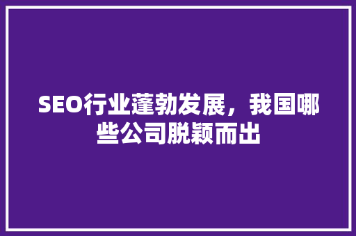 SEO行业蓬勃发展，我国哪些公司脱颖而出
