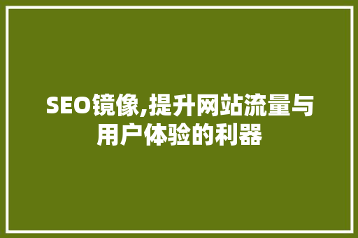 SEO镜像,提升网站流量与用户体验的利器