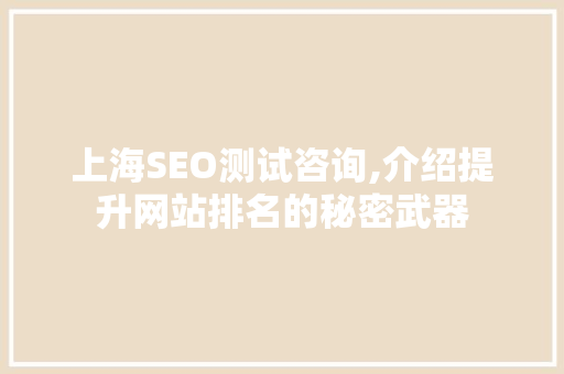 上海SEO测试咨询,介绍提升网站排名的秘密武器