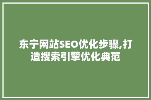 东宁网站SEO优化步骤,打造搜索引擎优化典范