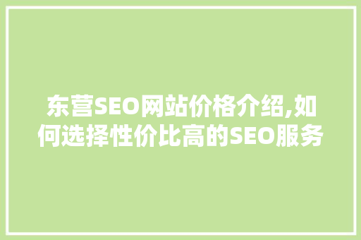 东营SEO网站价格介绍,如何选择性价比高的SEO服务