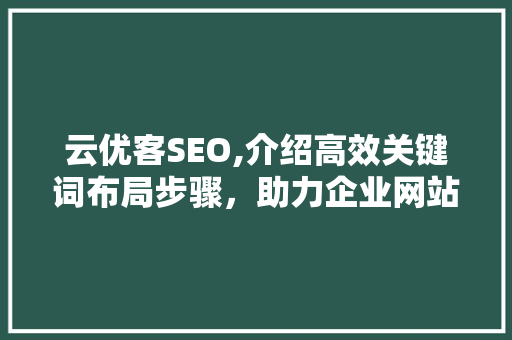 云优客SEO,介绍高效关键词布局步骤，助力企业网站优化