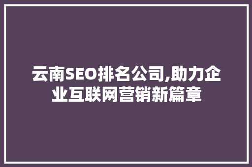 云南SEO排名公司,助力企业互联网营销新篇章