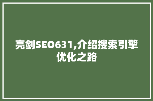 亮剑SEO631,介绍搜索引擎优化之路