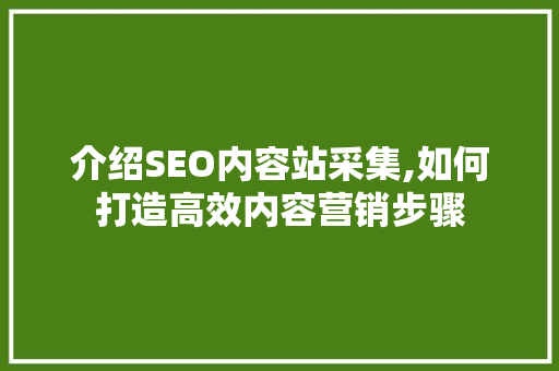 介绍SEO内容站采集,如何打造高效内容营销步骤