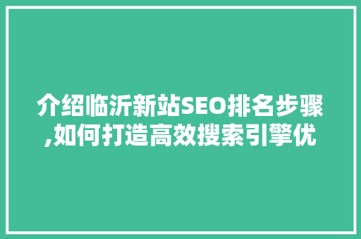 介绍临沂新站SEO排名步骤,如何打造高效搜索引擎优化方法