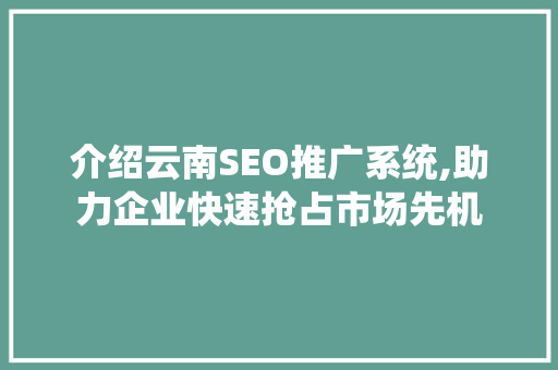 介绍云南SEO推广系统,助力企业快速抢占市场先机