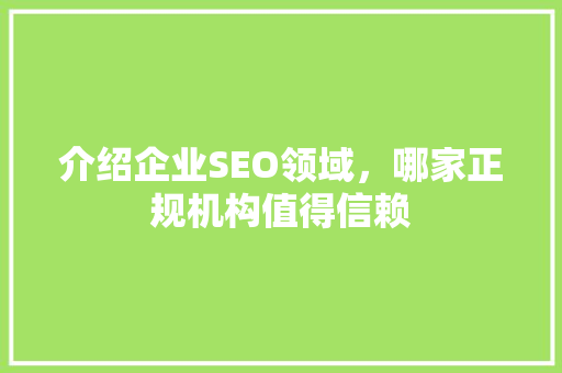 介绍企业SEO领域，哪家正规机构值得信赖