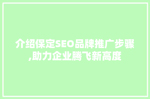 介绍保定SEO品牌推广步骤,助力企业腾飞新高度