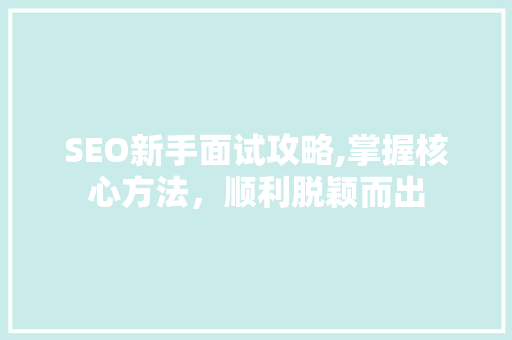 SEO新手面试攻略,掌握核心方法，顺利脱颖而出