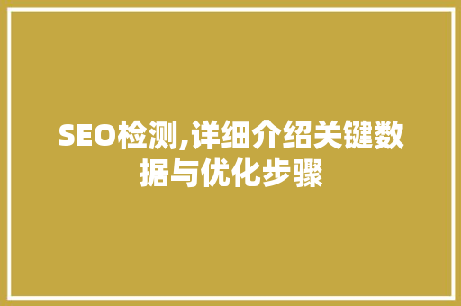 SEO检测,详细介绍关键数据与优化步骤