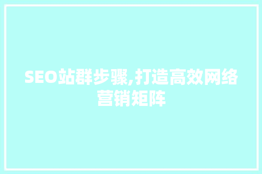 SEO站群步骤,打造高效网络营销矩阵