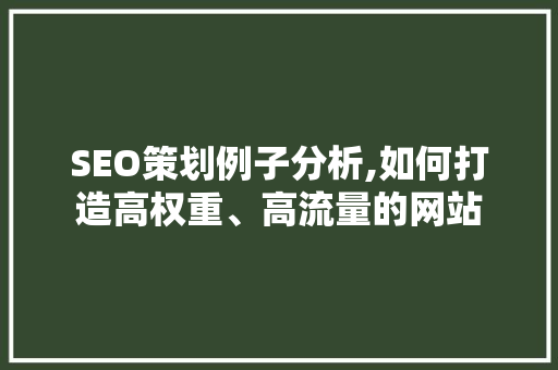 SEO策划例子分析,如何打造高权重、高流量的网站