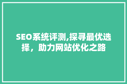 SEO系统评测,探寻最优选择，助力网站优化之路