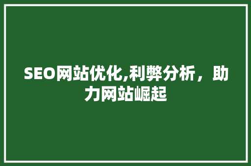 SEO网站优化,利弊分析，助力网站崛起