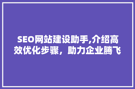 SEO网站建设助手,介绍高效优化步骤，助力企业腾飞