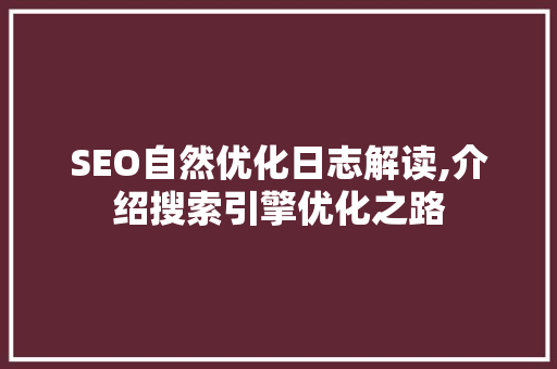 SEO自然优化日志解读,介绍搜索引擎优化之路