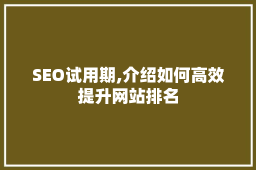 SEO试用期,介绍如何高效提升网站排名