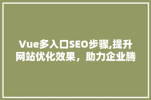 Vue多入口SEO步骤,提升网站优化效果，助力企业腾飞