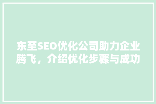 东至SEO优化公司助力企业腾飞，介绍优化步骤与成功之路