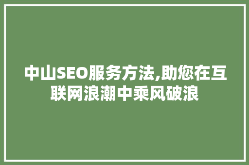 中山SEO服务方法,助您在互联网浪潮中乘风破浪