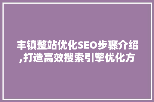丰镇整站优化SEO步骤介绍,打造高效搜索引擎优化方法