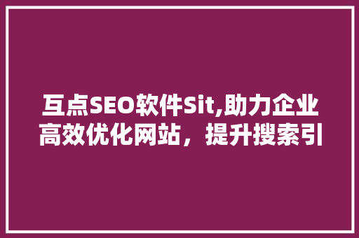 互点SEO软件Sit,助力企业高效优化网站，提升搜索引擎排名