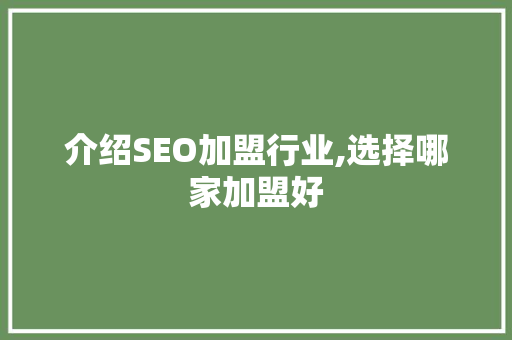 介绍SEO加盟行业,选择哪家加盟好