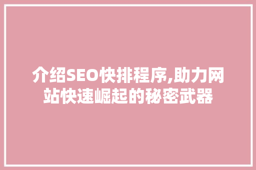 介绍SEO快排程序,助力网站快速崛起的秘密武器