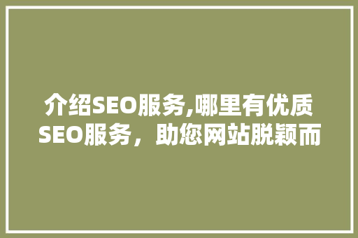 介绍SEO服务,哪里有优质SEO服务，助您网站脱颖而出