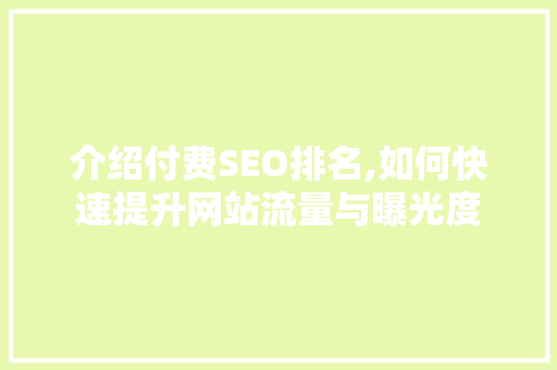 介绍付费SEO排名,如何快速提升网站流量与曝光度