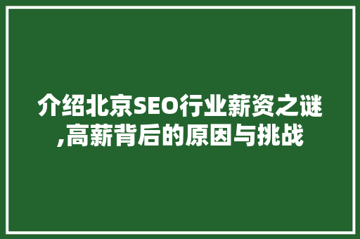 介绍北京SEO行业薪资之谜,高薪背后的原因与挑战