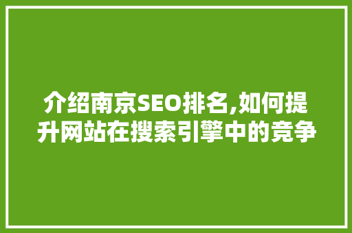 介绍南京SEO排名,如何提升网站在搜索引擎中的竞争力
