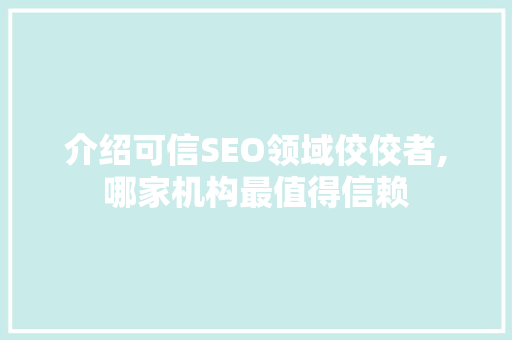 介绍可信SEO领域佼佼者,哪家机构最值得信赖