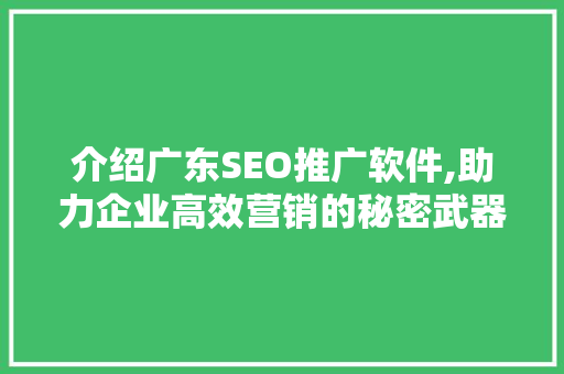 介绍广东SEO推广软件,助力企业高效营销的秘密武器