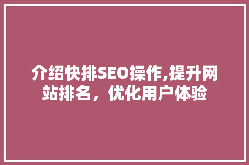 介绍快排SEO操作,提升网站排名，优化用户体验
