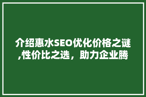 介绍惠水SEO优化价格之谜,性价比之选，助力企业腾飞  第1张