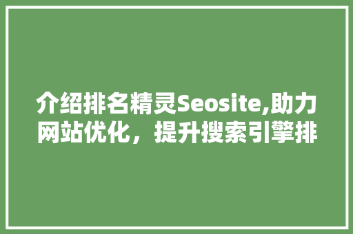 介绍排名精灵Seosite,助力网站优化，提升搜索引擎排名的神秘力量