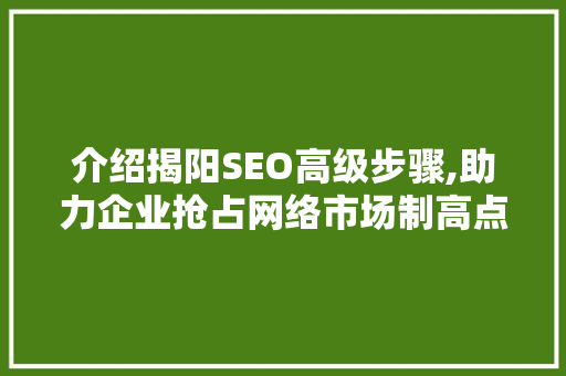 介绍揭阳SEO高级步骤,助力企业抢占网络市场制高点