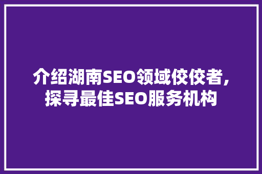 介绍湖南SEO领域佼佼者,探寻最佳SEO服务机构