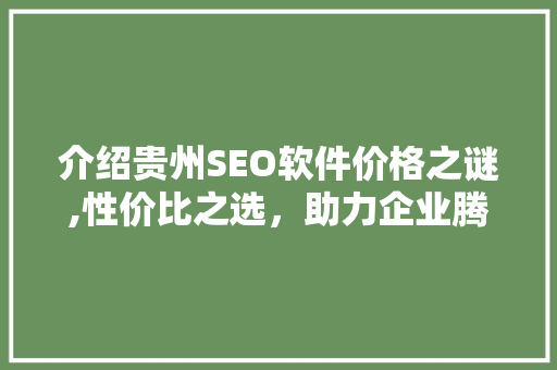 介绍贵州SEO软件价格之谜,性价比之选，助力企业腾飞
