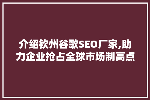 介绍钦州谷歌SEO厂家,助力企业抢占全球市场制高点